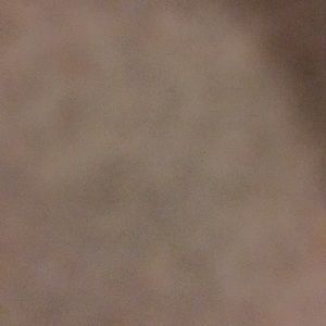 Meet your Posher, Jake